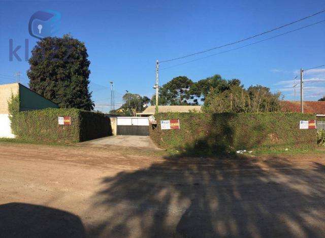 Terreno para construtores 15x55 - Foto 8