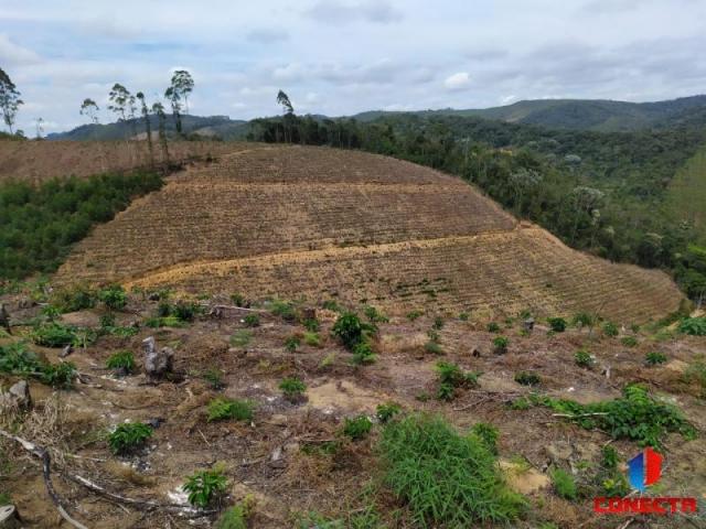 Terreno para Venda em Santa Maria de Jetibá, Centro - Foto 12