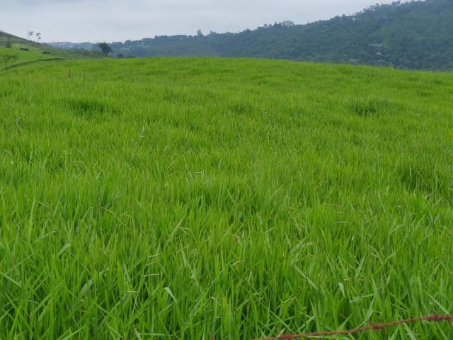 09* Vendo Terreno , Localizado em Arujá