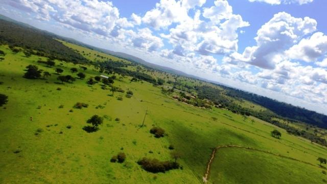 Fazenda em Ipameri (Soja e Pasto ; Beira Asfalto)