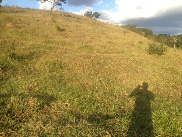 Fazenda caruru Valor R$ 1,400,000 - Foto 11