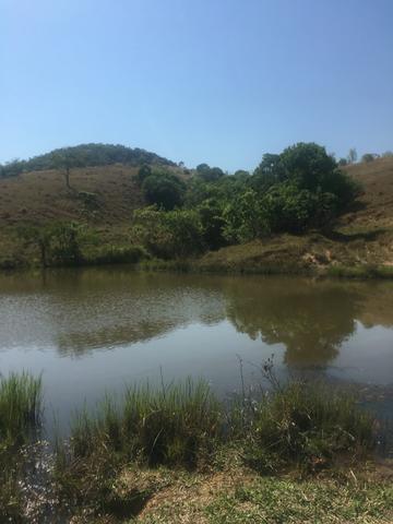 Fazenda caruru Valor R$ 1,400,000 - Foto 17