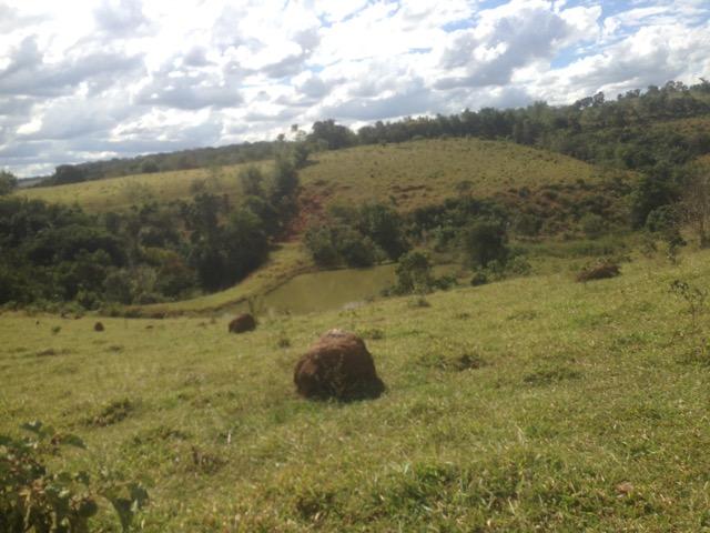 Fazenda caruru Valor R$ 1,400,000 - Foto 7