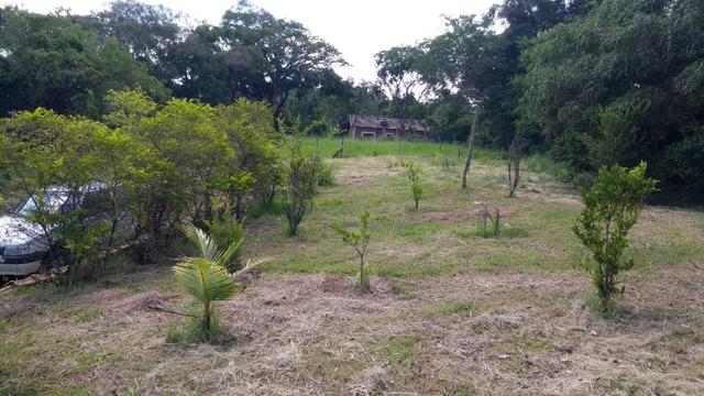 Chacara com 5 mil metros - Foto 10