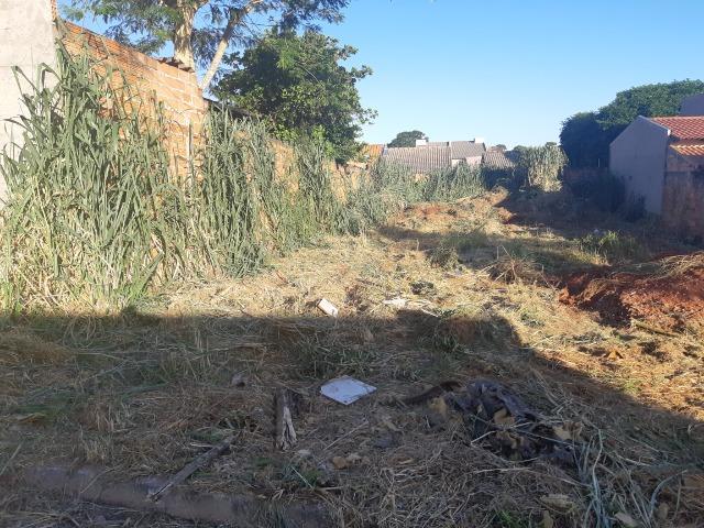 Lote Jardim Fonte Nova - Foto 5
