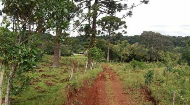 Vendo um alqueire de terra em Cantagalo - Foto 2