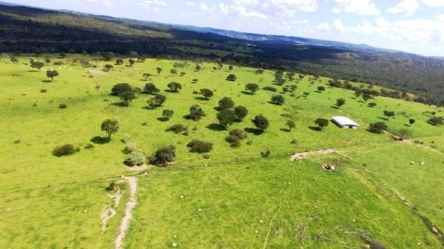 Fazenda em Ipameri (Soja e Pasto ; Beira Asfalto) - Foto 2