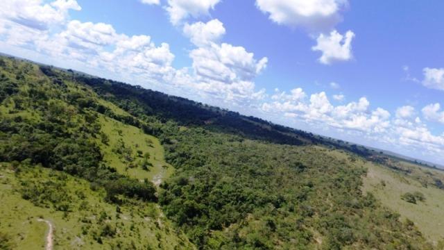 Fazenda em Ipameri (Soja e Pasto ; Beira Asfalto) - Foto 15