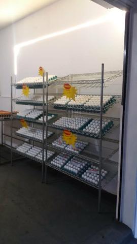 Distribuidora de ovos - Foto 3