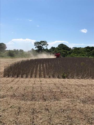 Fazenda Porangatu 100 alqueros - Foto 6