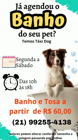 Serviço de Banho e Tosa Delivery Gama - Banho e Tosa Táxi Dog