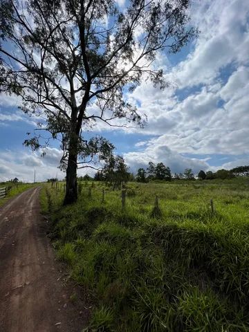 Chácara em Taquara à 700m da RS 020 - Foto 4