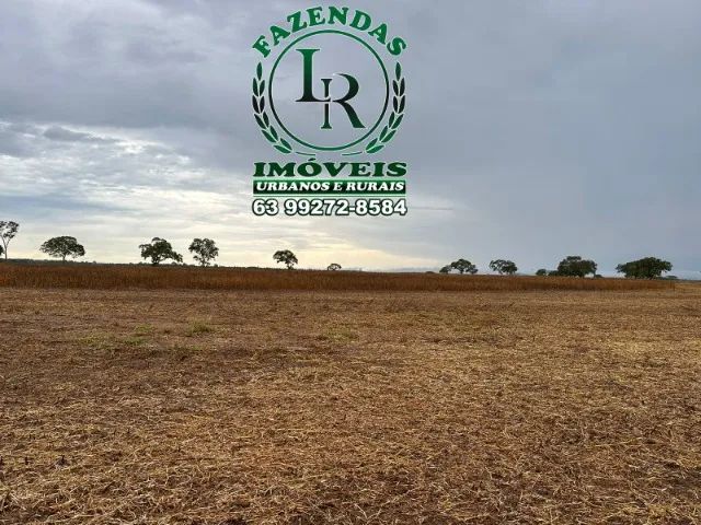 Fazenda 102 Alqueires Agricultura e Pecuária no Tocantis - Foto 3