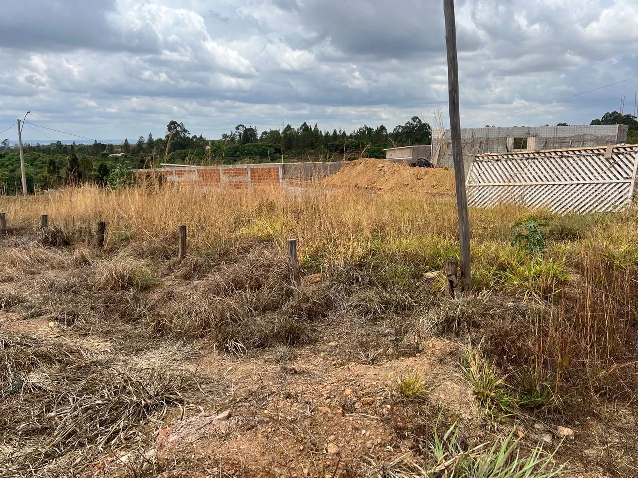 Lote cana do reino  - Foto 5