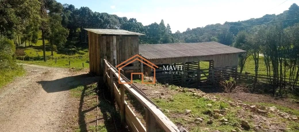 Chácara 55.000m² com Casa, Galpão, Açudes, 40.000m² com área de lavoura - Anita Garibaldi  - Foto 2