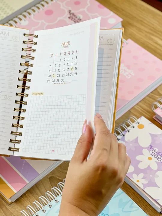Agenda personalizada 2025 - Foto 3