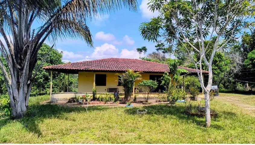 Atenção Investidores, Sitio com Igarapé, com 10 hectares, - próximo cachoeira castanh - Foto 6