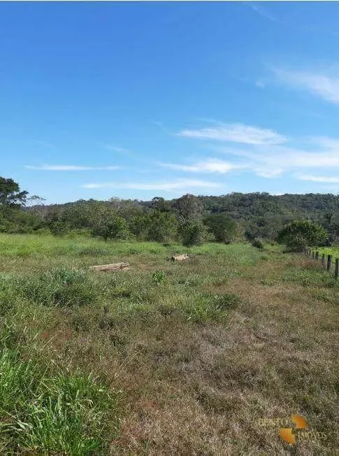 Fazenda com estrutura completa para criação.