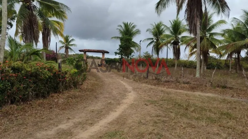 Fazenda em Salgado com 450 tarefas