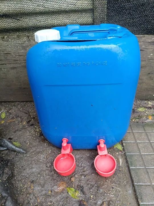 Ninhos, comedouros, bebedouros galinhas, aves, patos, perus - Foto 6