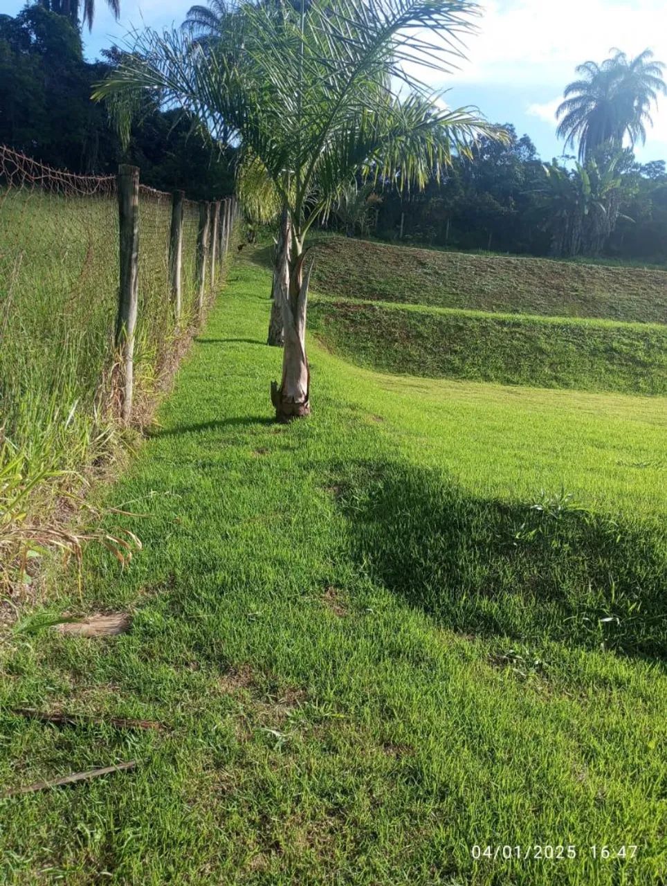 Vendo terreno em macacos 2.500 M2. - Foto 2