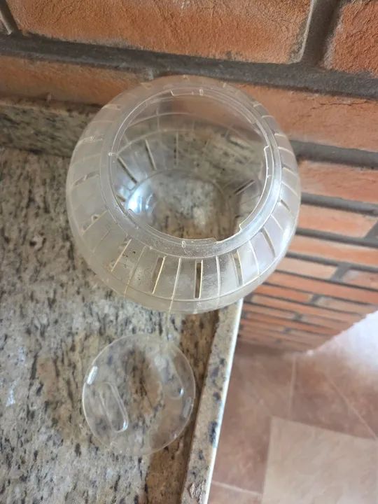 Bola de Hamster Transparente - Foto 4