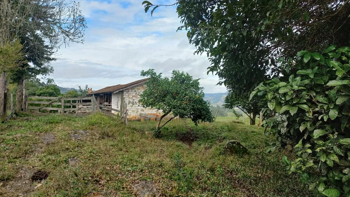 10 hectares sendo 6 em lavoura 3km asfalto Taio passo manso.