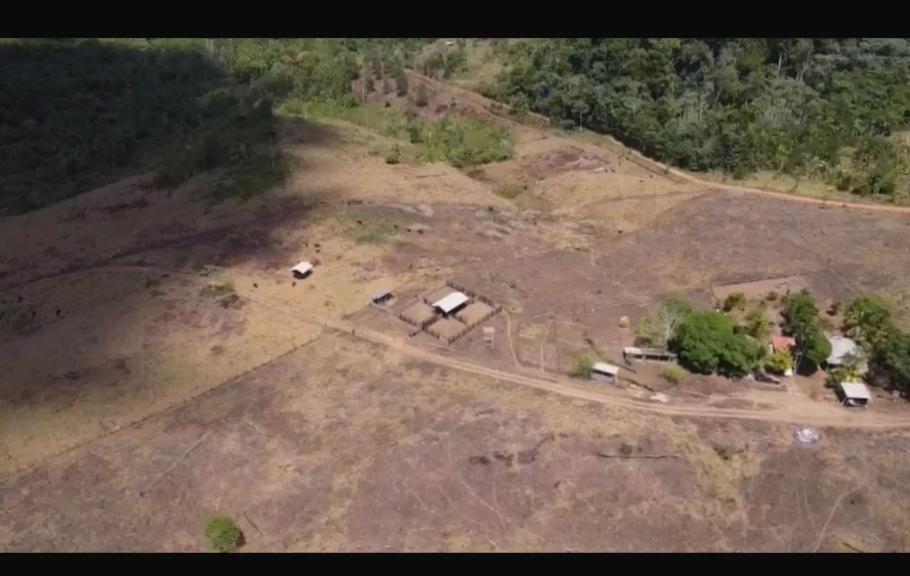 Fazenda 400 hectares