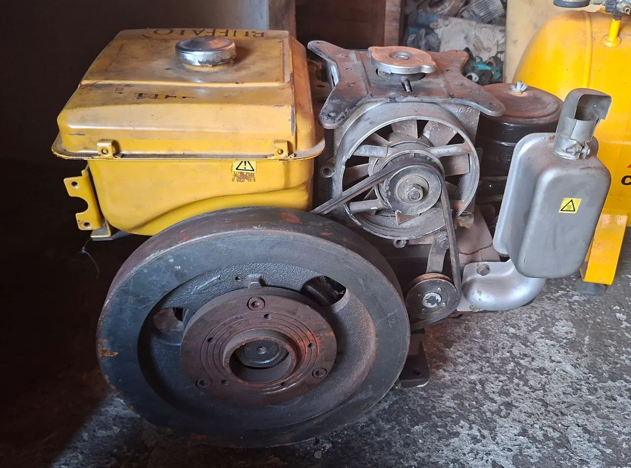 Motor Buffalo 13cv - Foto 2