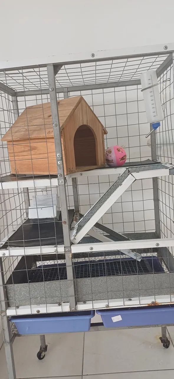 Gaiola Para Roedores 