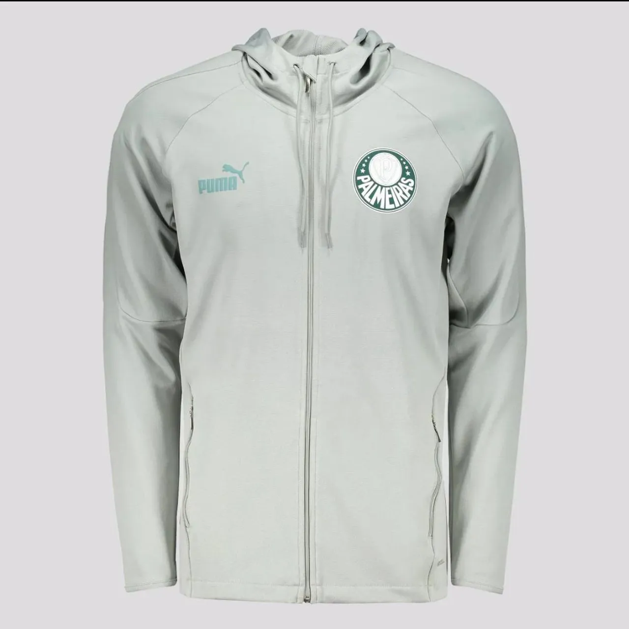 Jaqueta Palmeiras Viagem Casuals Oficial Puma 2023/2024