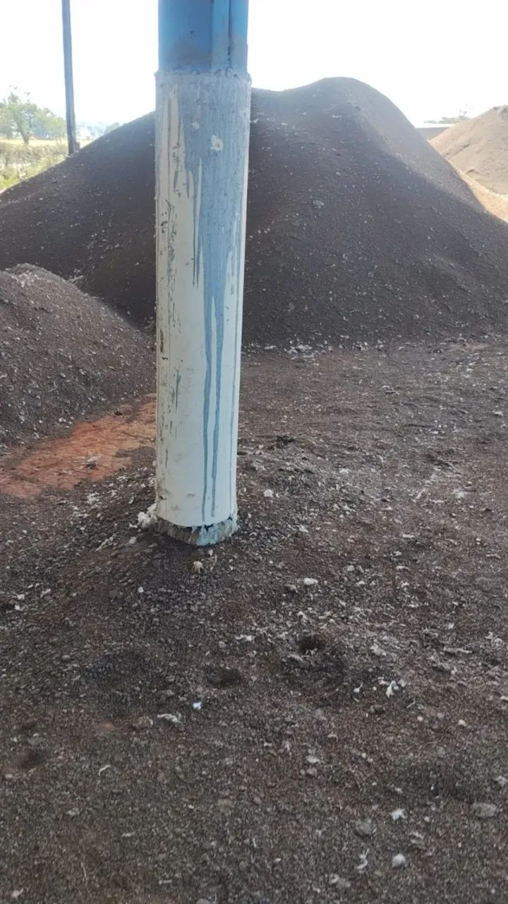 cama de frango o melhor fertilizante  organico livre de praga  - Foto 3