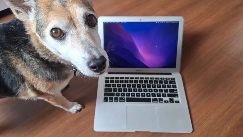 MacBook Air (13-inch, Early 2015), i5, 8GB