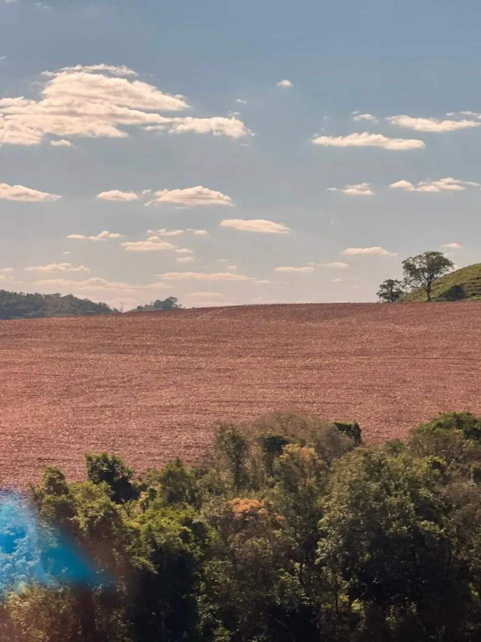 Fazenda 250 alqueiro  - Foto 4