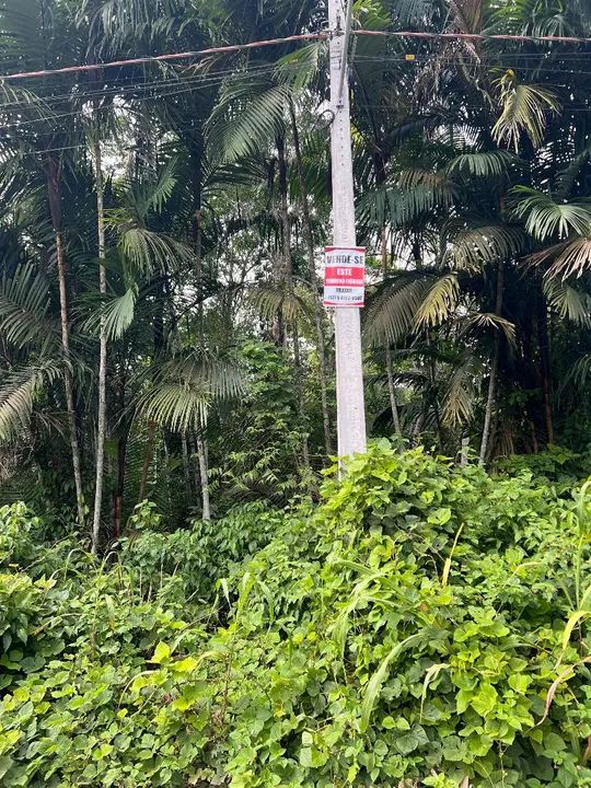 TERRENO 10 X 40 - TARUMÃ  - Foto 2