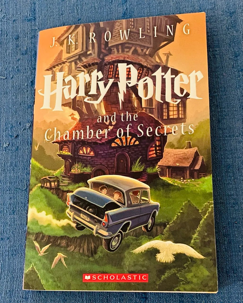 Harry Potter 