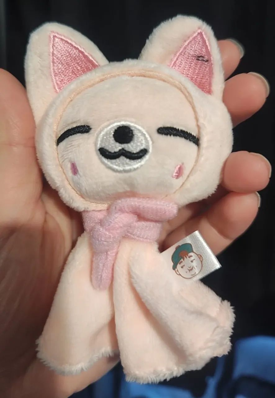 Kpop Stray Kids SKZOO DominATE Japan Teruterubozu Foxi.ny