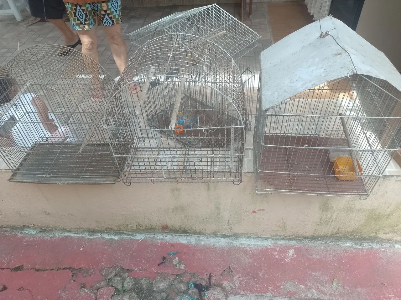 Gaiolas para pássaros