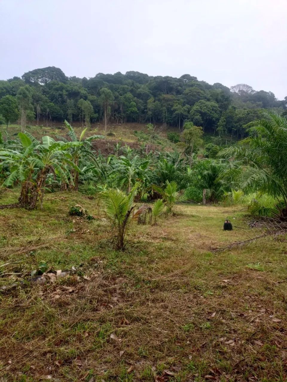 Terreno medindo dois hectares na zona rural de Cachoeiras de Macacu