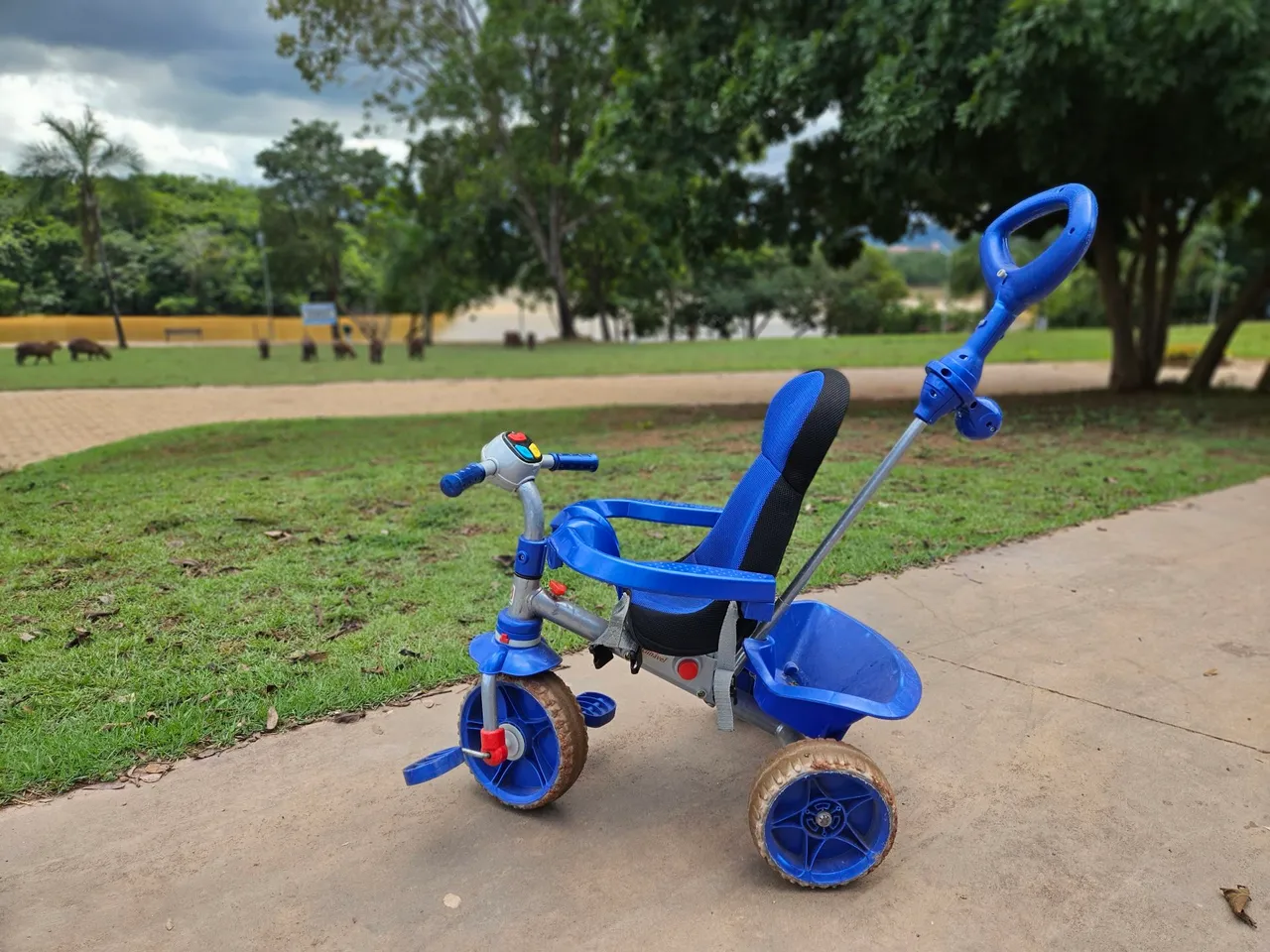 Triciclo Multifuncional Bandeirante Smart Comfort Azul