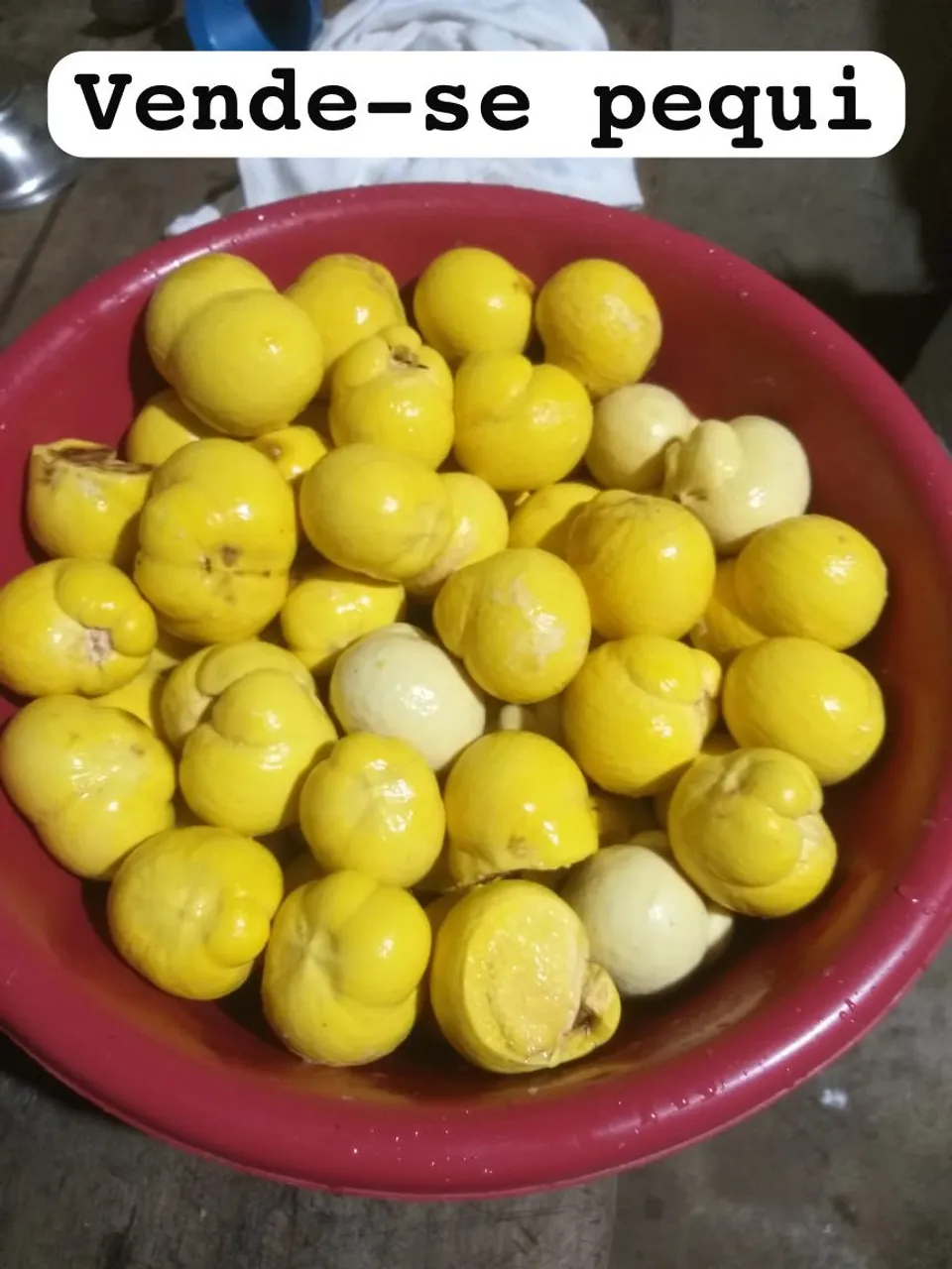 Pequi fresco e saboroso à venda!