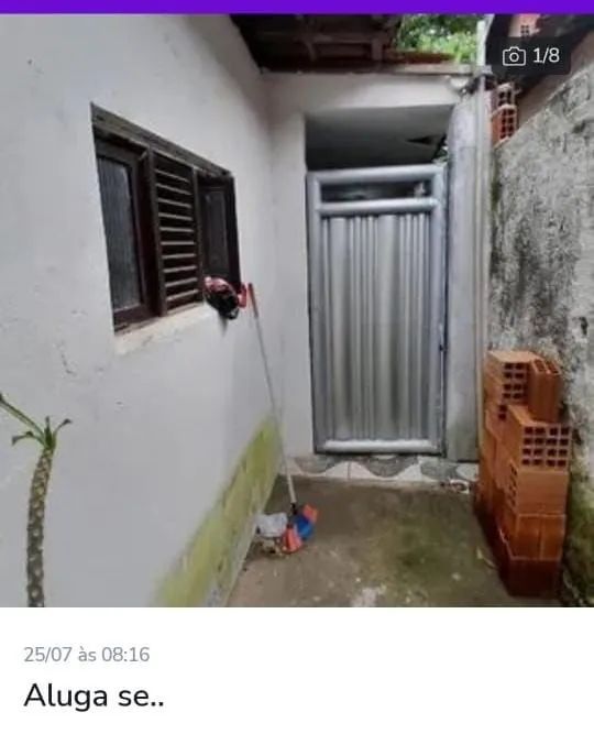 Foto - João Pessoa - Mandacaru