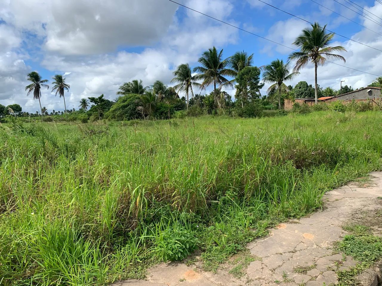 Terreno bom para chácara ou casa  - Foto 4