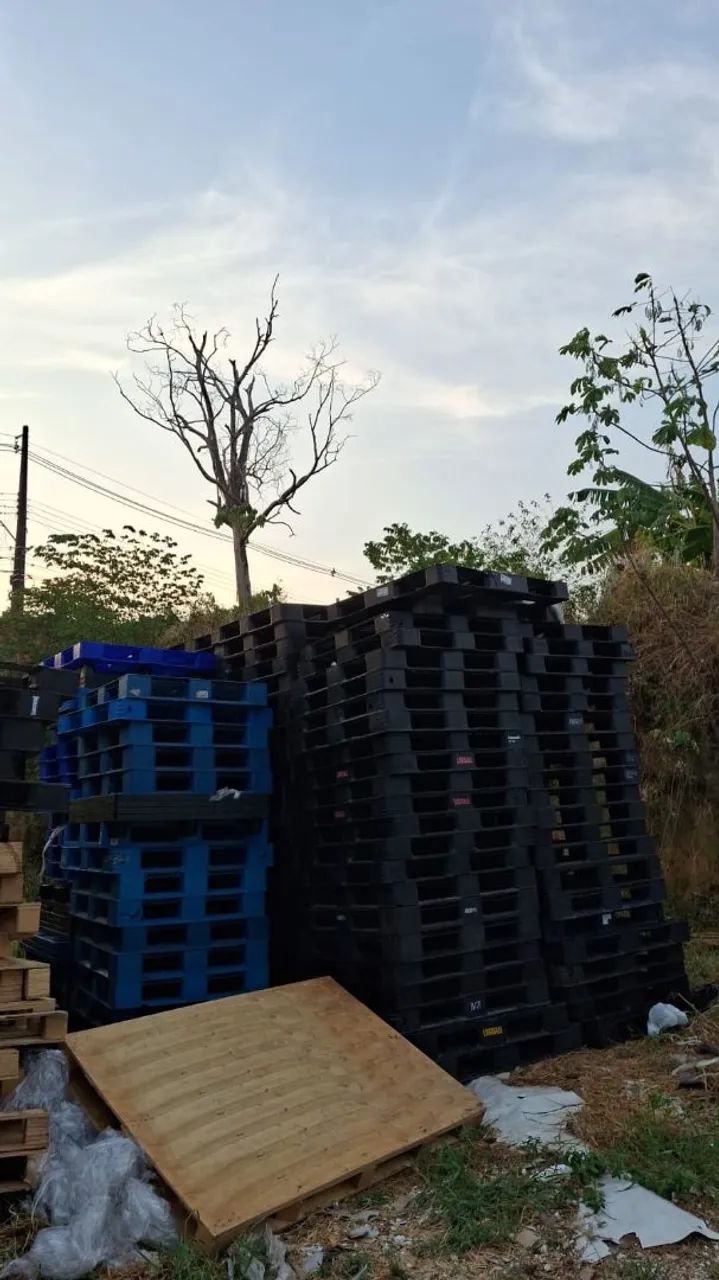 Palete de Plastico  - Foto 4