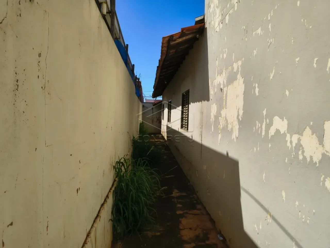 Imóvel para reforma! - Foto 2