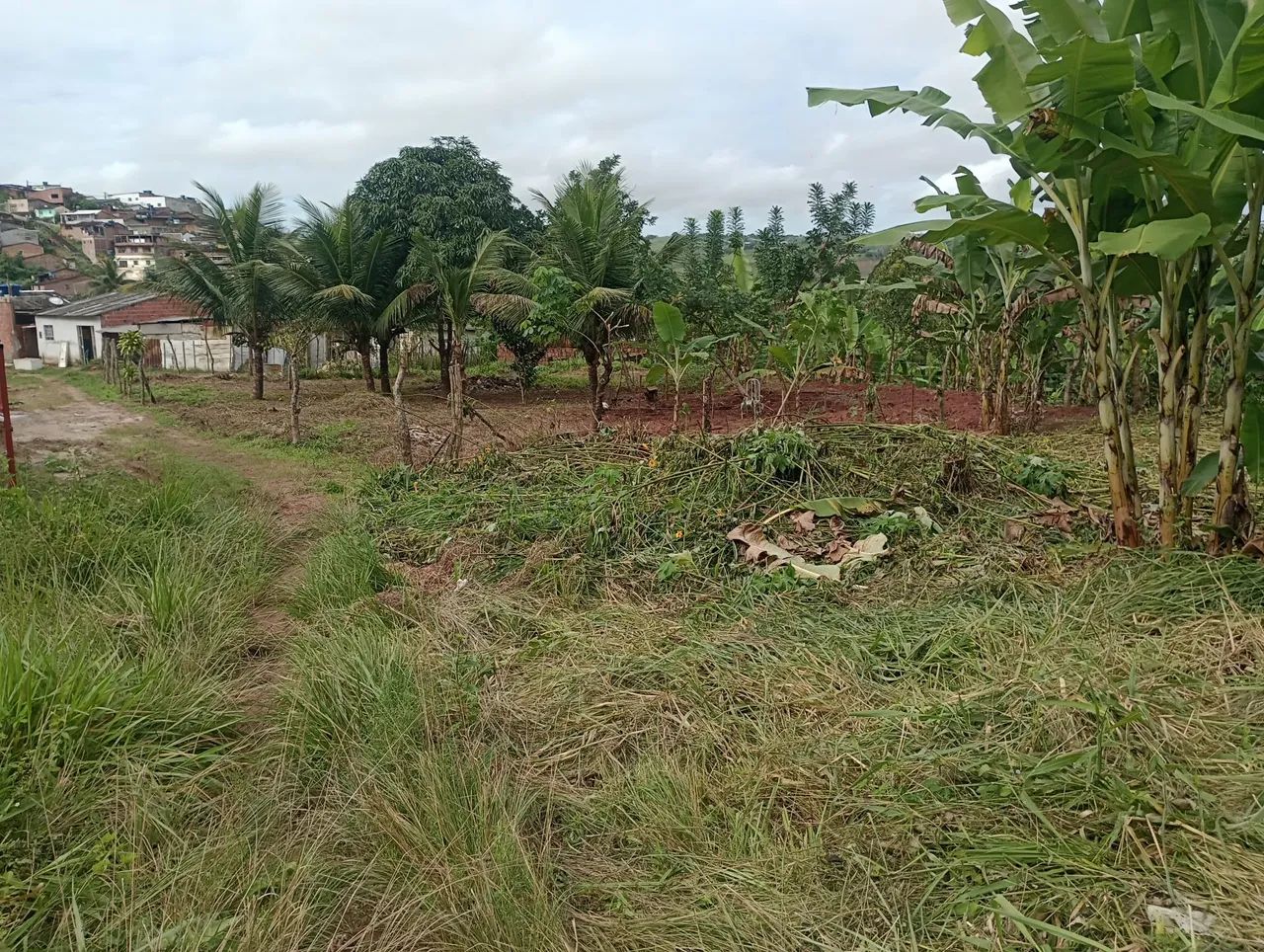 10 mil Terreno em Palmares perto do centro  - Foto 2