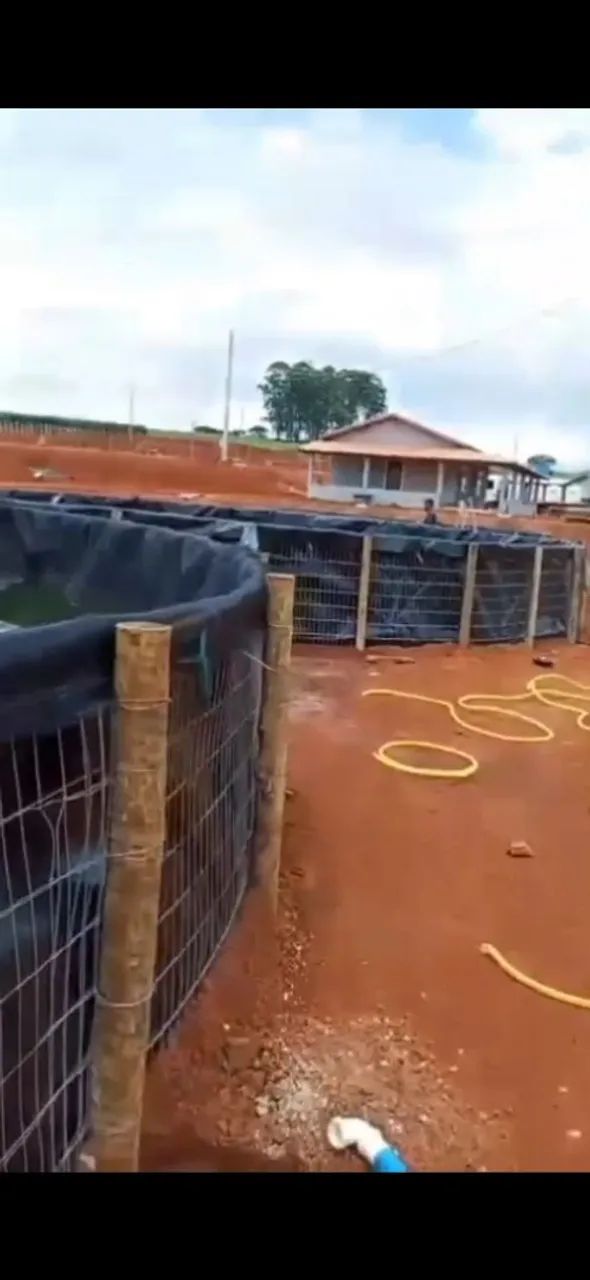 Tanque pra criação de peixe  - Foto 2
