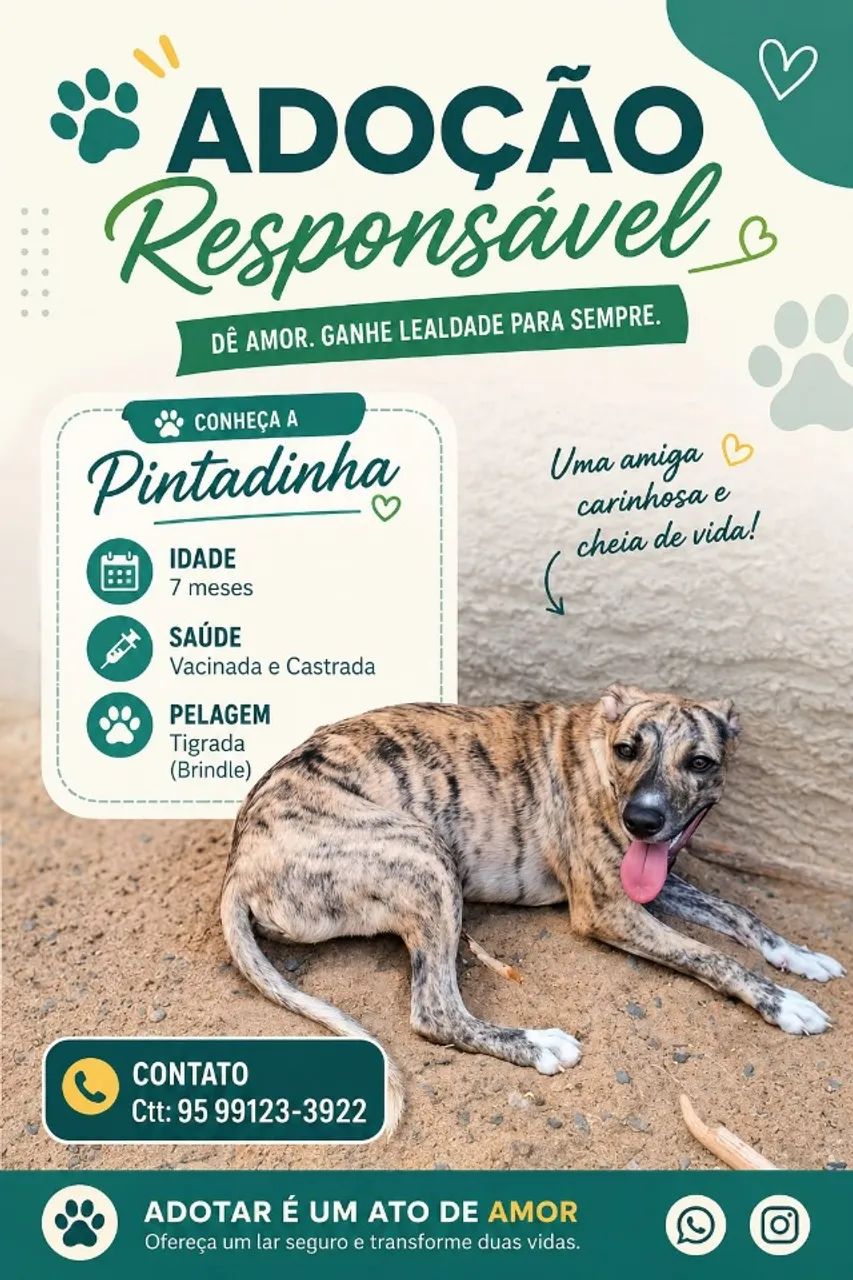 Adoção responsável - cadelinha de 7 meses castrada e vermifugada - Foto 2