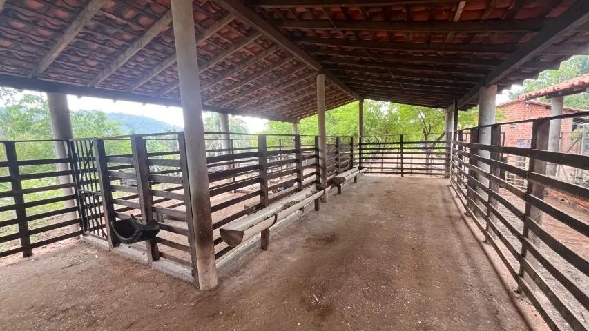 Sítio próximo a Timon - Foto 3