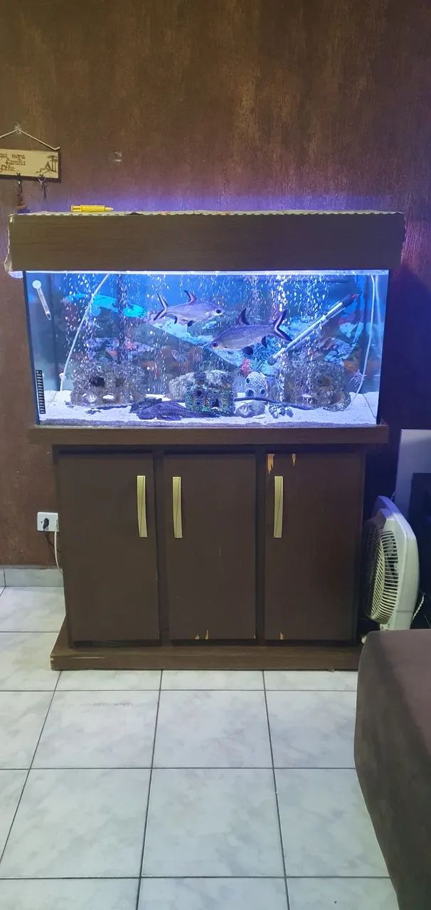 Aquario 200 litros - Foto 2